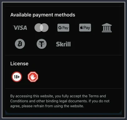 Fußbereich mit Zahlungssymbolen wie Visa, Mastercard, Google Pay, Apple Pay, Bitcoin und Skrill